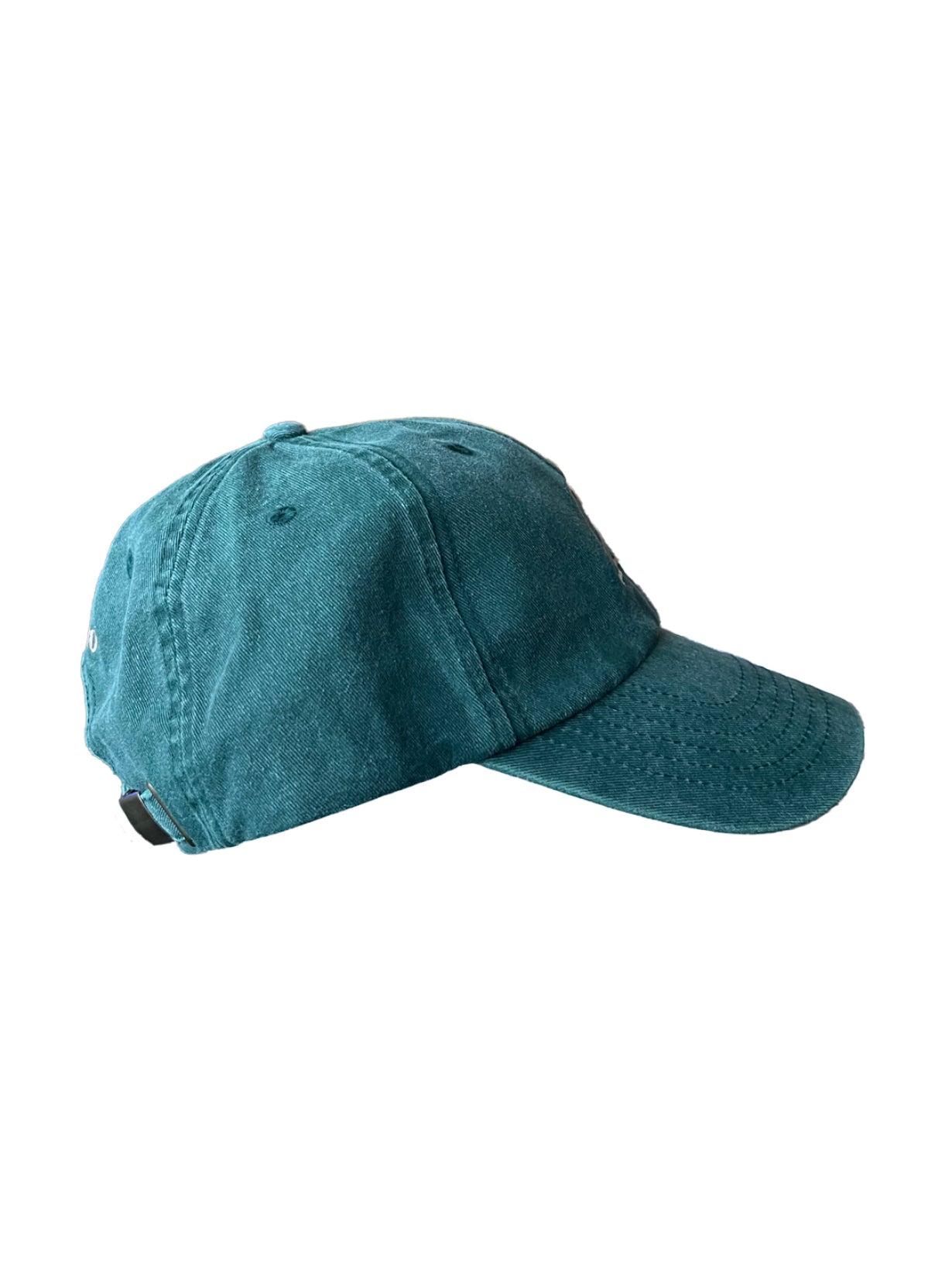 BOUTEILLE BERNAMO VINTAGE CAP VERT