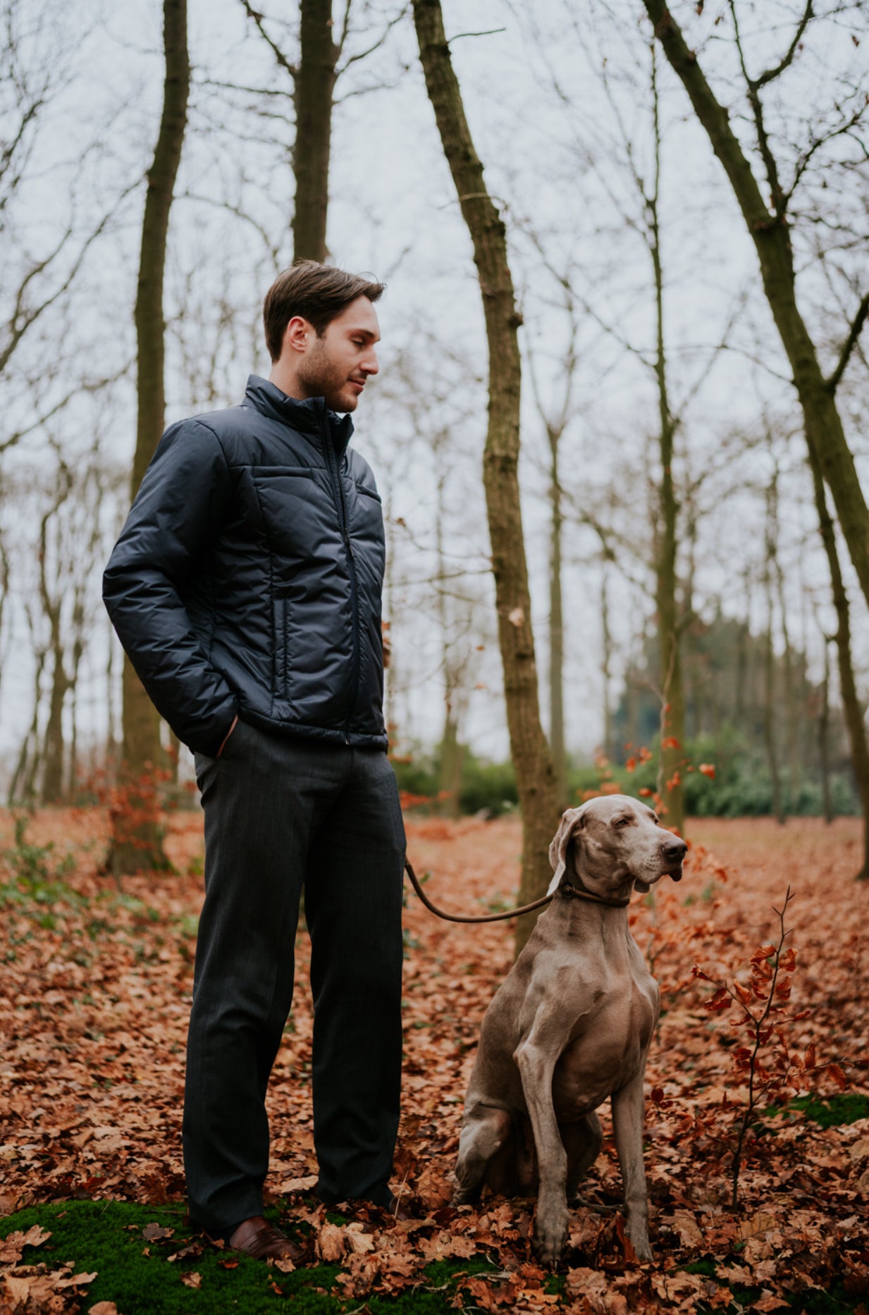 DOWN CLASSIC JACKET NAVY
